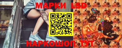 прущие крисы Будённовск
